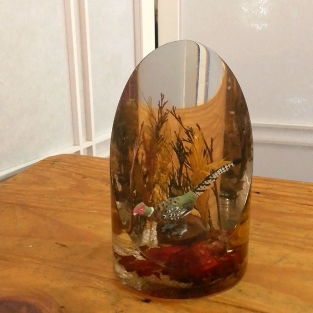 Vintage Lucite Sliced Acrylic Pheasant Scenic Paperweight